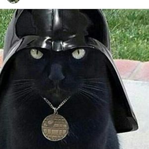 Meet your Posher, Antonio mares